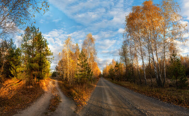 Panoramic autumn photo. A fork in two dirt roads in an autumn forest.