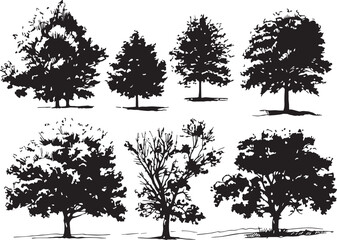 Obraz premium Set Trees. Hand drawn vector illustration