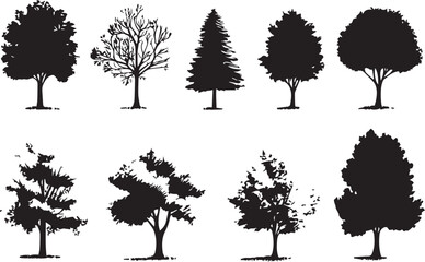Fototapeta premium Set Trees. Hand drawn vector illustration 