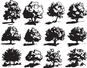 Set Trees. Hand drawn vector illustration	