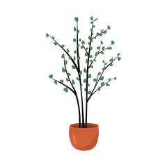 Obraz premium Plant illustration