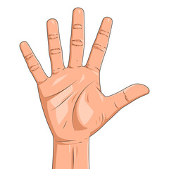 Vector illustration of hand raised up gesture isolated on white background. Realistic five fingers up