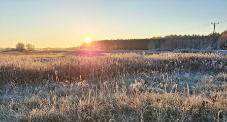 Frosty morning at sunrise. © Arkadiusz