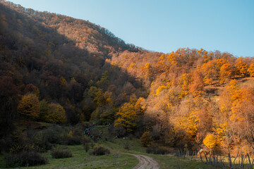 autumn in the mountains