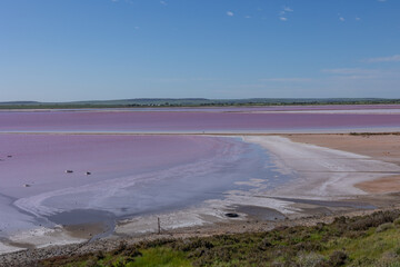 A pink lake caused by salt tolerant algae, with a salty shore, stretches into the distance with a blue sky background at Lake Bumbunga at the town of Lochiel on the Yorke Peninsula in South Australia.