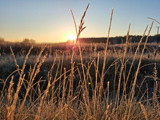 Frosty morning at sunrise. © Arkadiusz
