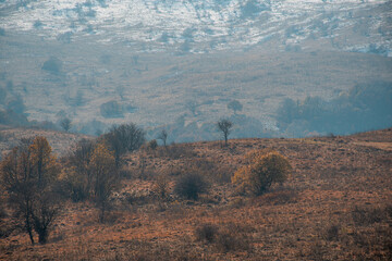 Fototapeta premium landscape in the mountains