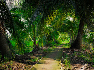 A tropical rural area in Mekong delta region