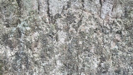 beautiful gray cement wall background