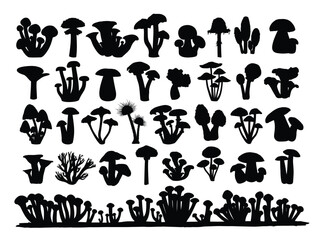 The set silhouettes of forest mushrooms.
