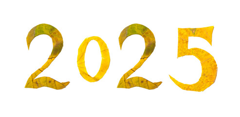 2025 numbers carved from yellow maple leaves