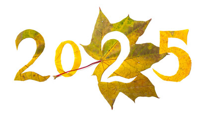 2025 numbers carved from yellow maple leaves