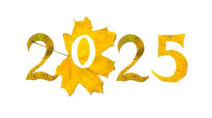 2025 numbers carved from yellow maple leaves