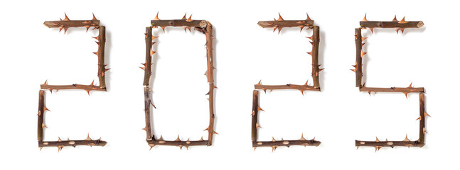 2025 number composed of thorny rose stems