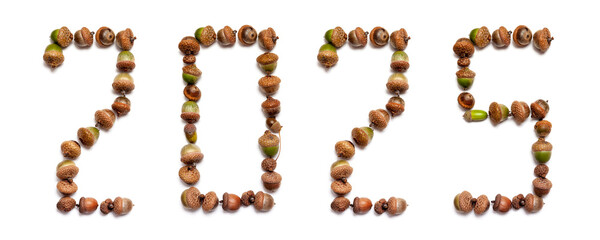 2025. Numbers composed of oak acorns