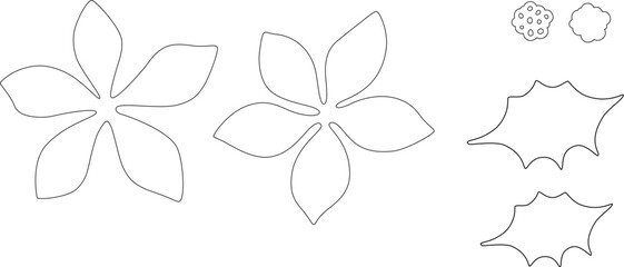 Obraz premium poinsettia template