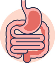 Illustration of the digestive system highlighting inflammation.