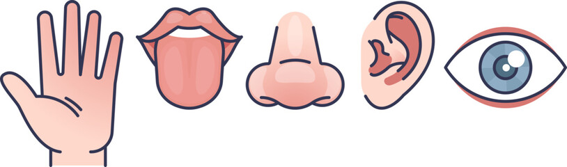 Illustration of the five senses: touch, taste, smell, hearing, and sight.