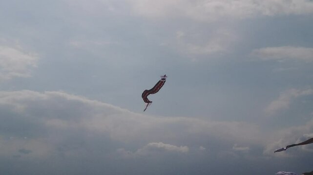Balinese Jagan Long Tail Gigantic Kite In Bali