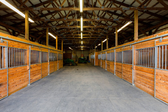 Interior view of stall doors in horse stable.