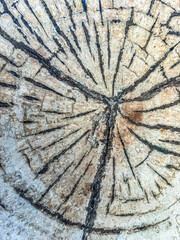 Cernes de bois sur plateau de table