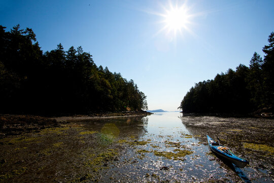 A kayak in a shallow inlet, with pine trees on the shore in Wallace Island Marine Park.