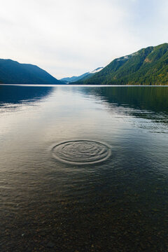Water ripples, concentric circles ripples on the water, on Lake Crescent, Olympic National Park,. Washington state