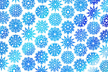 Blaue Weihnachtssterne vor weissem Hintergrund