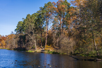 View of a serene city park with a beautiful lake surrounded by golden autumn foliage. Kyiv, Ukraine