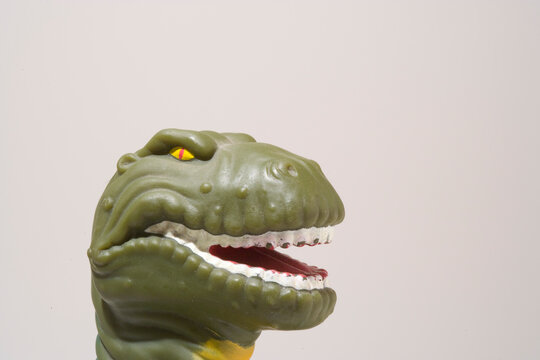 Close up of a toy dinosaur.