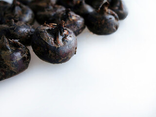 Unpeeled whole fresh raw Chinese water chestnut or water nut in plain white background, medicine fruit, vegetable tasty ingredients, food from nature