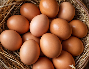 Pile of raw brown chicken eggs in straw