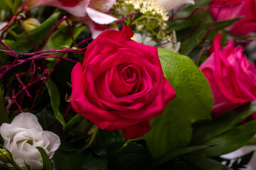 a beautiful red rose in a floral bouquet