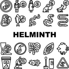 helminth worm parasite nematode icons set vector. tapeworm roundworm, flatworm hookworm, whipworm fluke, cestode, trematode helminth worm parasite nematode black contour illustrations