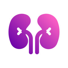 kidneys gradient icon