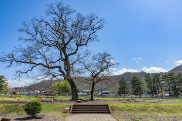 Shinano Kokubun-ji Buddhist temple Site, National Historic Site, Ueda City, Nagano Prefecture, Japan.