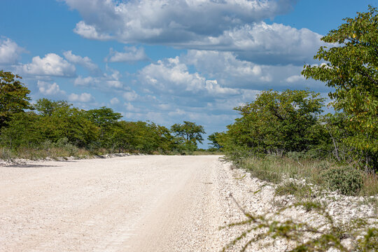 Namibia, Erongo Region, Cape Cross, Road C34, Skeleton Coast, Dusty roads