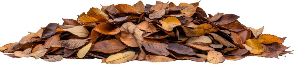 A Pile of Brown and Yellow Autumn Leaves Isolated on White