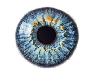 Isolated blue eye on a white background, showcasing intricate details and vibrant color, emphasizing the uniqueness of the iris.