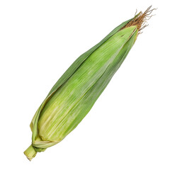 Freshly harvested ear of corn with vibrant green husk, showcasing natural textures and colors, perfect for culinary use or decoration
