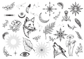 Vector collection of mystical magic boho elements isolated on white. Witchcraft astrological set. Hand drawn sketch esoteric objects.