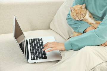 Fototapeta premium Online pet shop. Woman with laptop making order and cute cat on sofa at home, closeup