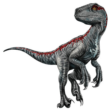 Watercolor painting velociraptor dinosaur isolated on transparent background PNG