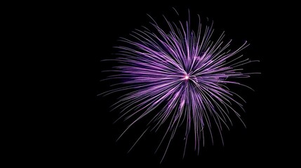 Purple Fireworks Display in the Night Sky