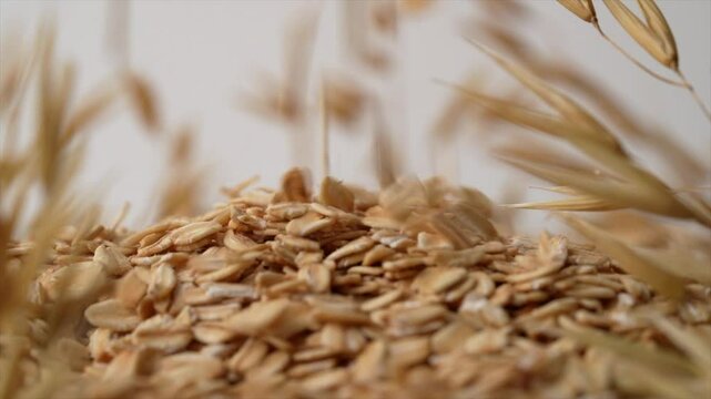 Rolled oats falling from top with oat crops in background.