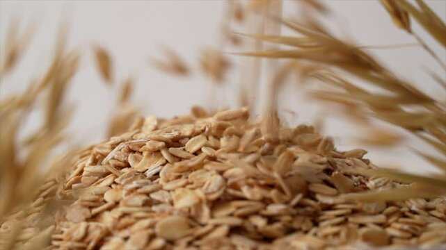 Rolled oats falling from top with oat crops in background.