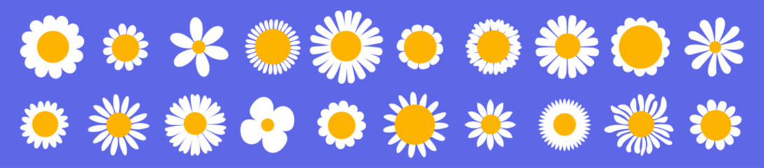 Chamomile big set. White daisy flowers. Cute round flower shapes. Flat design. Vector illustration isolated