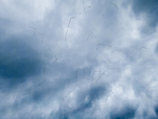 Hundred Of Geese Take Up The Skies As They Migrate Together