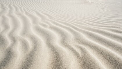 Obraz premium 砂浜を彷彿とさせる白い砂地のテクスチャ、キラリと光る細かな砂粒が魅力