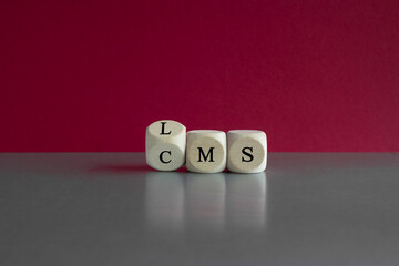 Wooden cubes with the abbreviations CMS (content management system) and LMS (learning management...